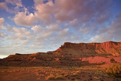 Picture of UT, CANYONLANDS NP GRAND VIEW POINT OVERLOOK