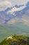 Picture of AK, DENALI NP, POLYCHROME PASS DALL SHEEP RAM