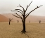 Picture of NAMIBIA, DEADVLEI UNUSUAL RAINY WEATHER