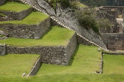 Picture of AGRICULTURAL TERRACES, MACHU PICCHU, PERU