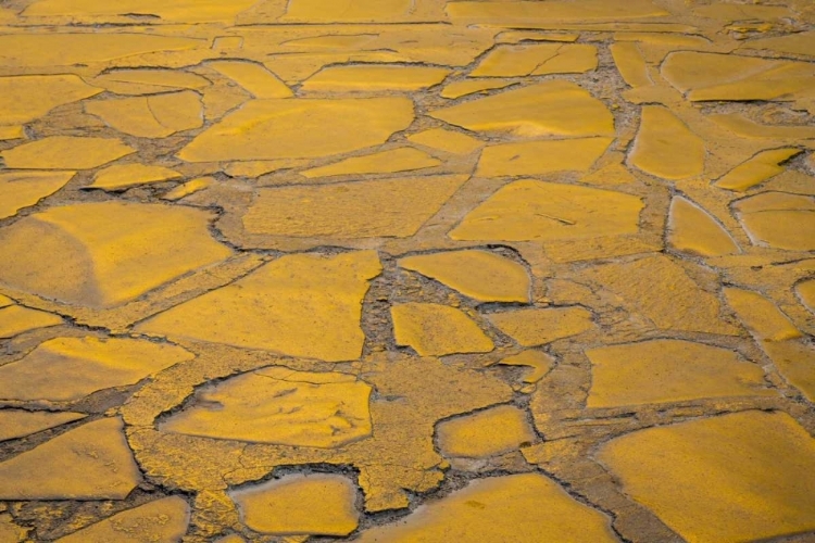 Picture of MEXICO MORNING SUN ON COBBLESTONE STREET