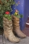 Picture of AZ, TUCSON COWBOY BOOTS USED AS PLANTERS