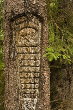 Picture of AK, GLACIER BAY NP TREE CARVING OF TOTEM