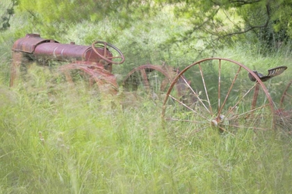 Picture of WA, SEABECK RUSTY OLD TRACTOR IN GRASSES