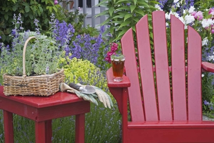 Picture of ICE TEA RESTS ON RED CHAIR WHILE GARDENING