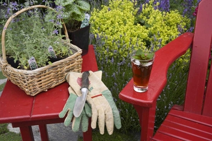 Picture of ICE TEA RESTS ON RED CHAIR WHILE GARDENING