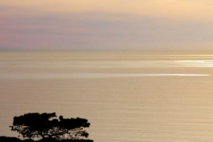 Picture of USA, CALIFORNIA, LA JOLLA SUNSET ON OCEAN