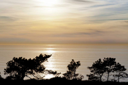 Picture of USA, CALIFORNIA, LA JOLLA SUNSET ON OCEAN