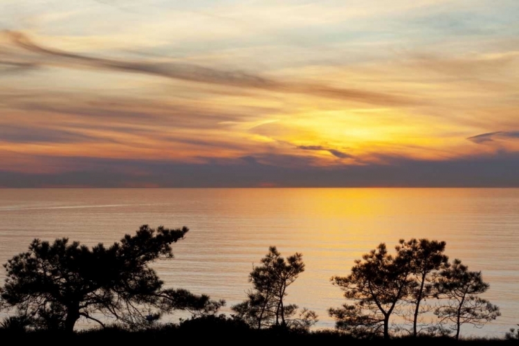 Picture of USA, CALIFORNIA, LA JOLLA SUNSET ON OCEAN