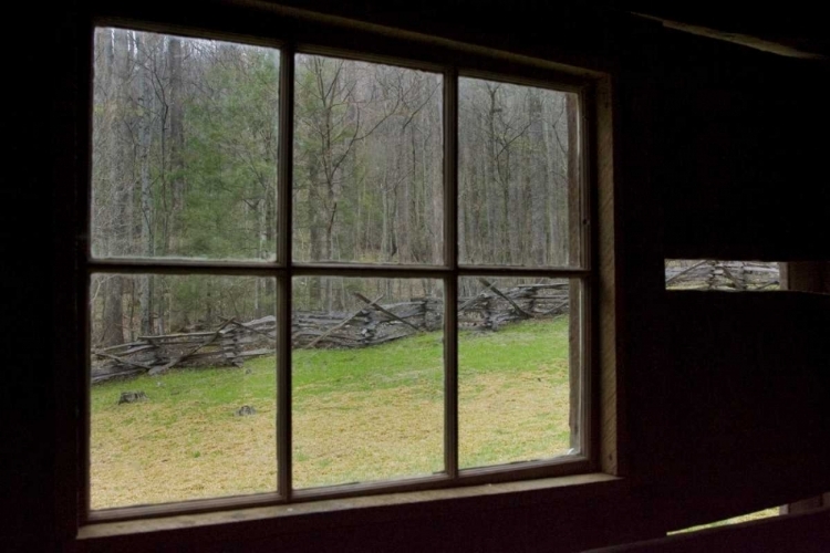 Picture of TN, GREAT SMOKY MTS JIM BALES ABANDONED CABIN