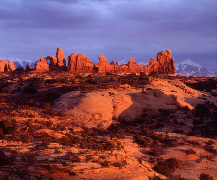 Picture of USA, UTAH ARCHES NP ARCHES AT SUNSET