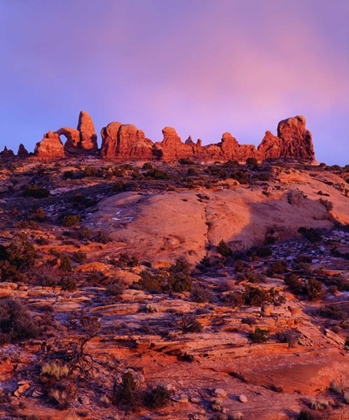 Picture of USA, UTAH ARCHES NP ARCHES AT SUNSET