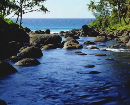 Picture of HI, KAUAI STREAM ON THE NA PALI COAST