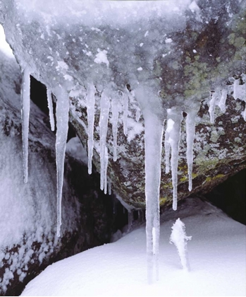 Picture of CALIFORNIA, ICICLES IN THE CLEVELAND NF