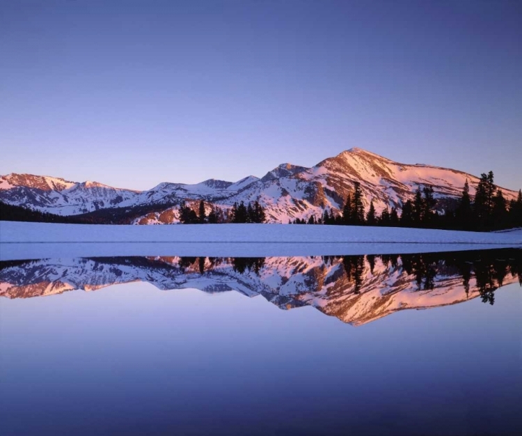 Picture of CALIFORNIA, SIERRA NEVADA, MAMMOTH PEAK