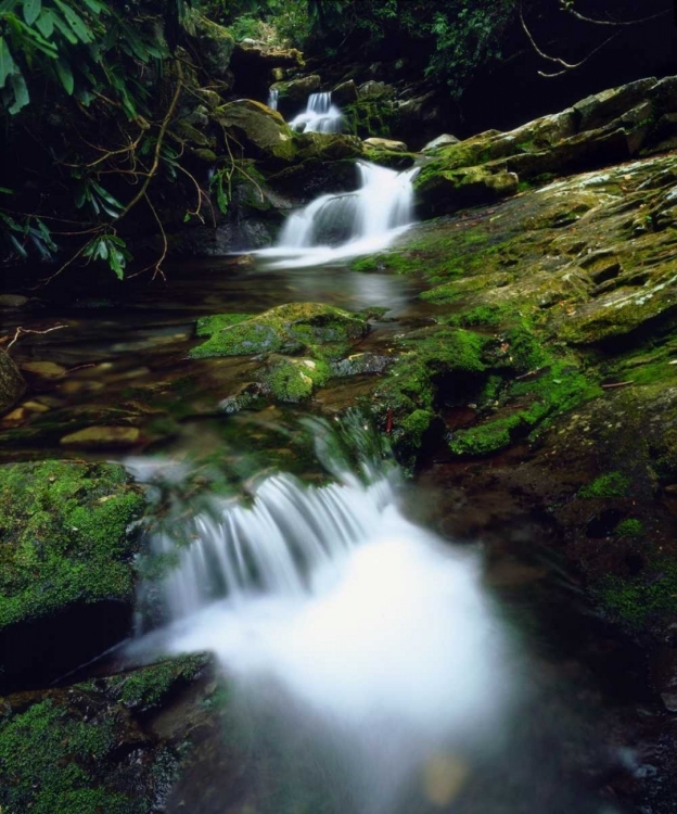 Picture of TENNESSEE, STREAM IN THE GREAT SMOKY MTS