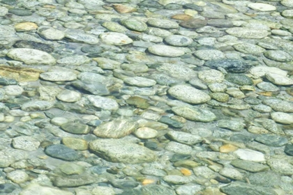 Picture of CALIFORNIA, SEQUOIA NP STONES IN PARADISE CREEK