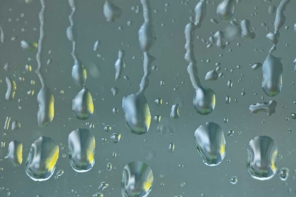 Picture of WASHINGTON STATE, SEABECK RAINDROPS ON A WINDOW