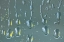 Picture of WASHINGTON STATE, SEABECK RAINDROPS ON A WINDOW