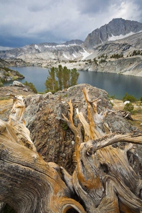 Picture of CALIFORNIA, INYO NATIONAL FOREST STEELHEAD LAKE