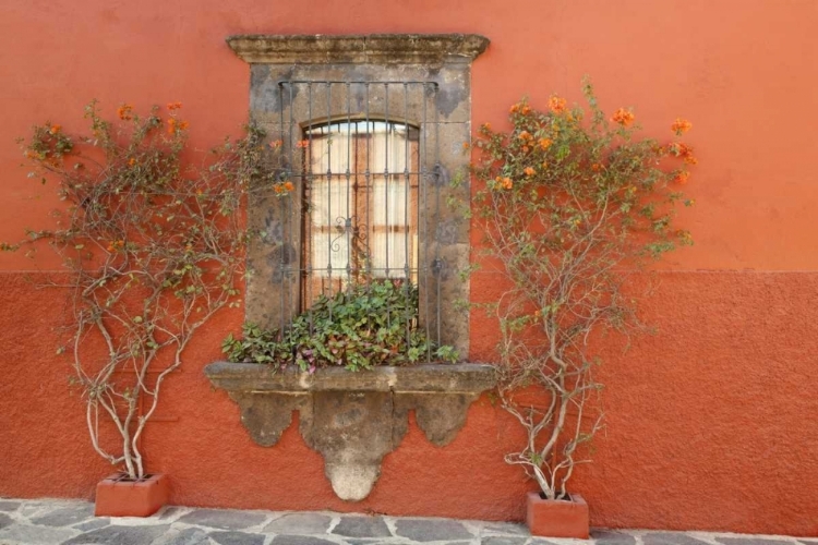 Picture of MEXICO, SAN MIGUEL DE ALLENDE WINDOW AND PLANTS