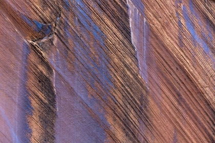 Picture of UTAH, GLEN CANYON STAINED PATTERNS ON ROCK WALL