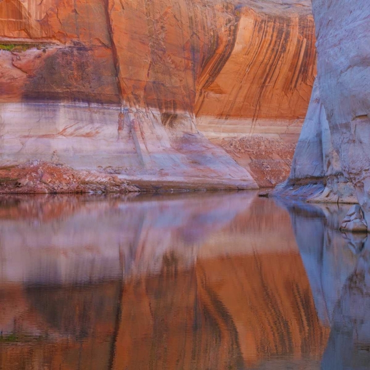 Picture of UTAH, GLEN CANYON ABSTRACT REFLECTION SANDSTONE