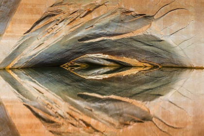 Picture of UTAH, GLEN CANYON ABSTRACT REFLECTION SANDSTONE