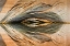 Picture of UTAH, GLEN CANYON ABSTRACT REFLECTION SANDSTONE