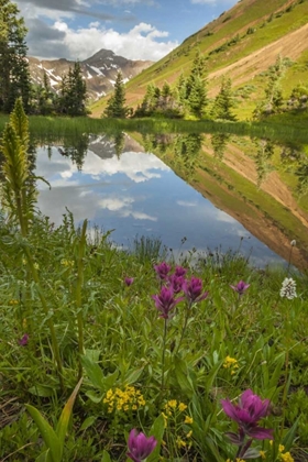 Picture of COLORADO PARADISE DIVIDE AND POND REFLECTION