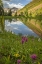 Picture of COLORADO PARADISE DIVIDE AND POND REFLECTION