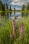 Picture of COLORADO PARADISE DIVIDE AND POND REFLECTION