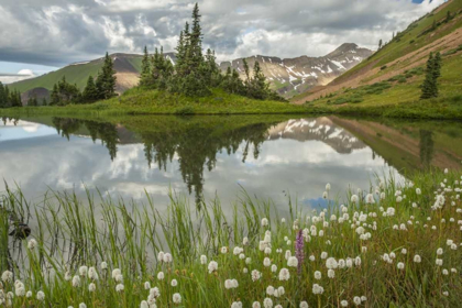 Picture of COLORADO PARADISE DIVIDE AND POND REFLECTION