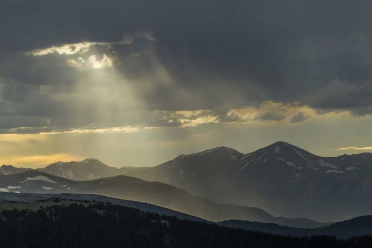 Picture of CO, MT EVANS LANDSCAPE OF RAIN AND GOD RAYS