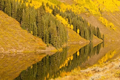 Picture of CO, ROCKY MTS AUTUMN REFLECTION ON LONG LAKE