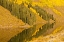 Picture of CO, ROCKY MTS AUTUMN REFLECTION ON LONG LAKE