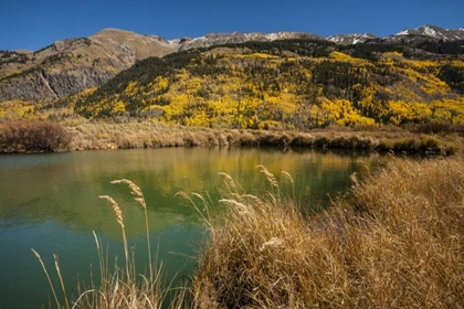 Picture of USA, COLORADO LANDSCAPE IN SAN JUAN MOUNTAINS