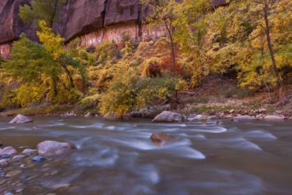 Picture of USA, UTAH, ZION NP AUTUMN ON THE VIRGIN RIVER