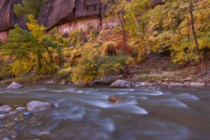 Picture of USA, UTAH, ZION NP AUTUMN ON THE VIRGIN RIVER