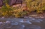 Picture of USA, UTAH, ZION NP AUTUMN ON THE VIRGIN RIVER