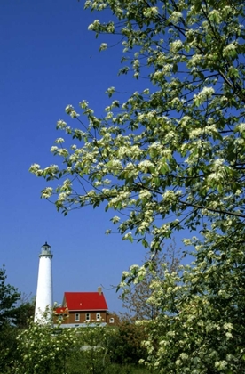 Picture of MI, EAST TAWAS TAWAS LIGHTHOUSE AND CHERRY TREES
