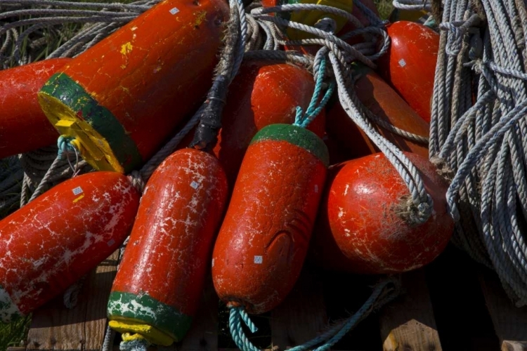 Picture of OR, GARIBALDI RED AND GREEN CRAB POT BUOYS