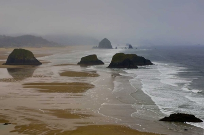 Picture of OR, CANNON BEACH FOGGY MORNING ON COASTLINE