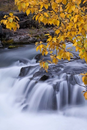 Picture of USA, OREGON ROGUE RIVER WATERFALLS IN AUTUMN