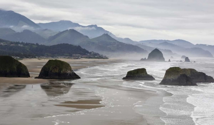 Picture of OREGON, CANNON BEACH FOG RISES OVER COASTLINE