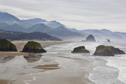 Picture of OREGON, CANNON BEACH FOG RISES OVER COASTLINE