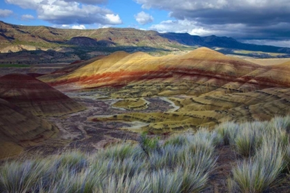 Picture of OREGON, JOHN DAY FOSSIL BEDS NM, PAINTED HILLS