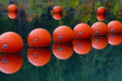 Picture of USA, OREGON ORANGE BUOYS FORM DAM ON ROGUE RIVER
