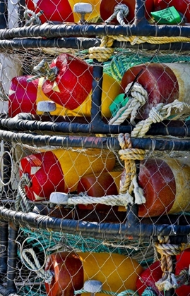 Picture of USA, OREGON, GARIBALDI STACKED CRAB POTS ON DOCK