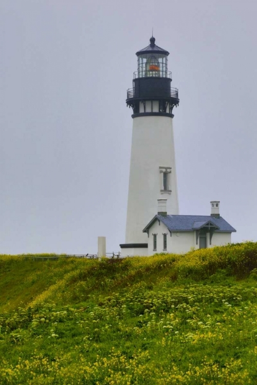 Picture of USA, OREGON YAQUINA HEAD LIGHTHOUSE ON FOGGY DAY